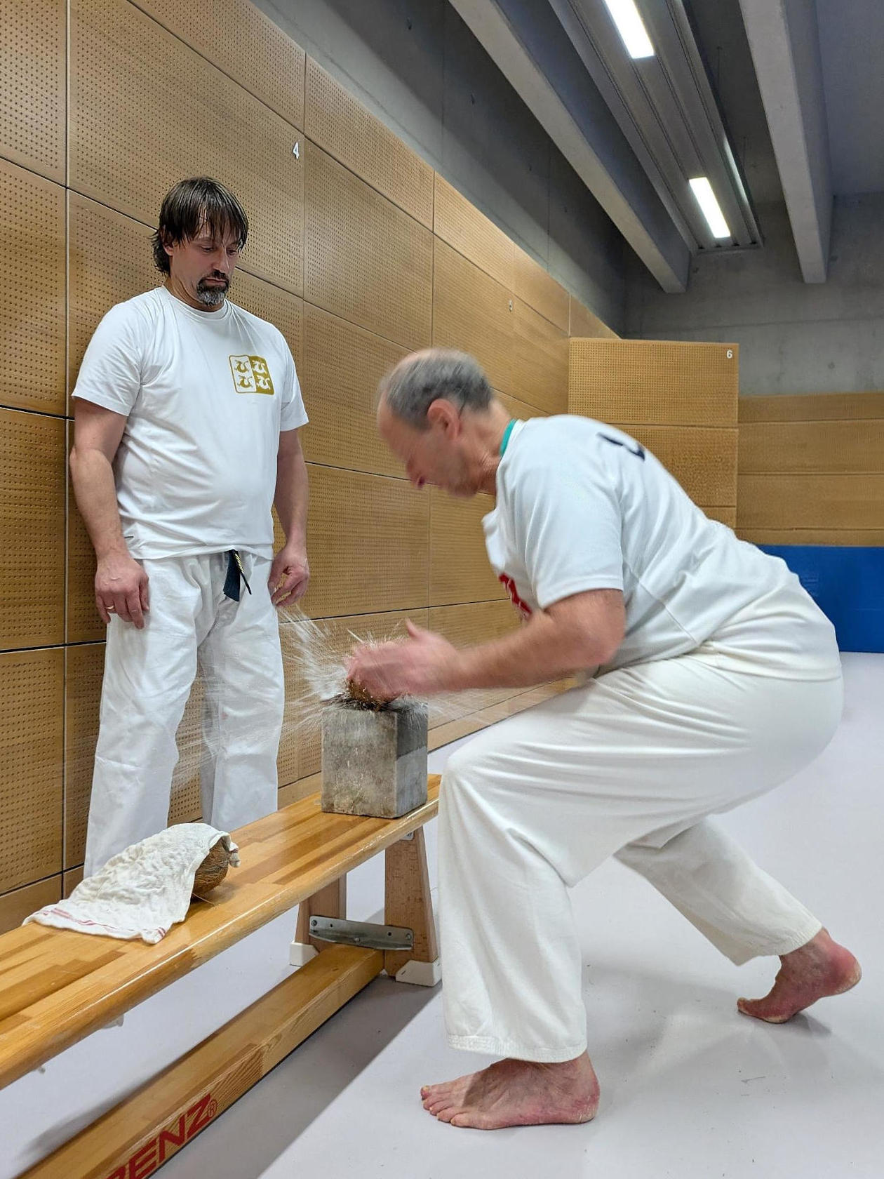 KokosNorbert1.jpg was not found.